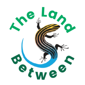 TLB circle logo no border