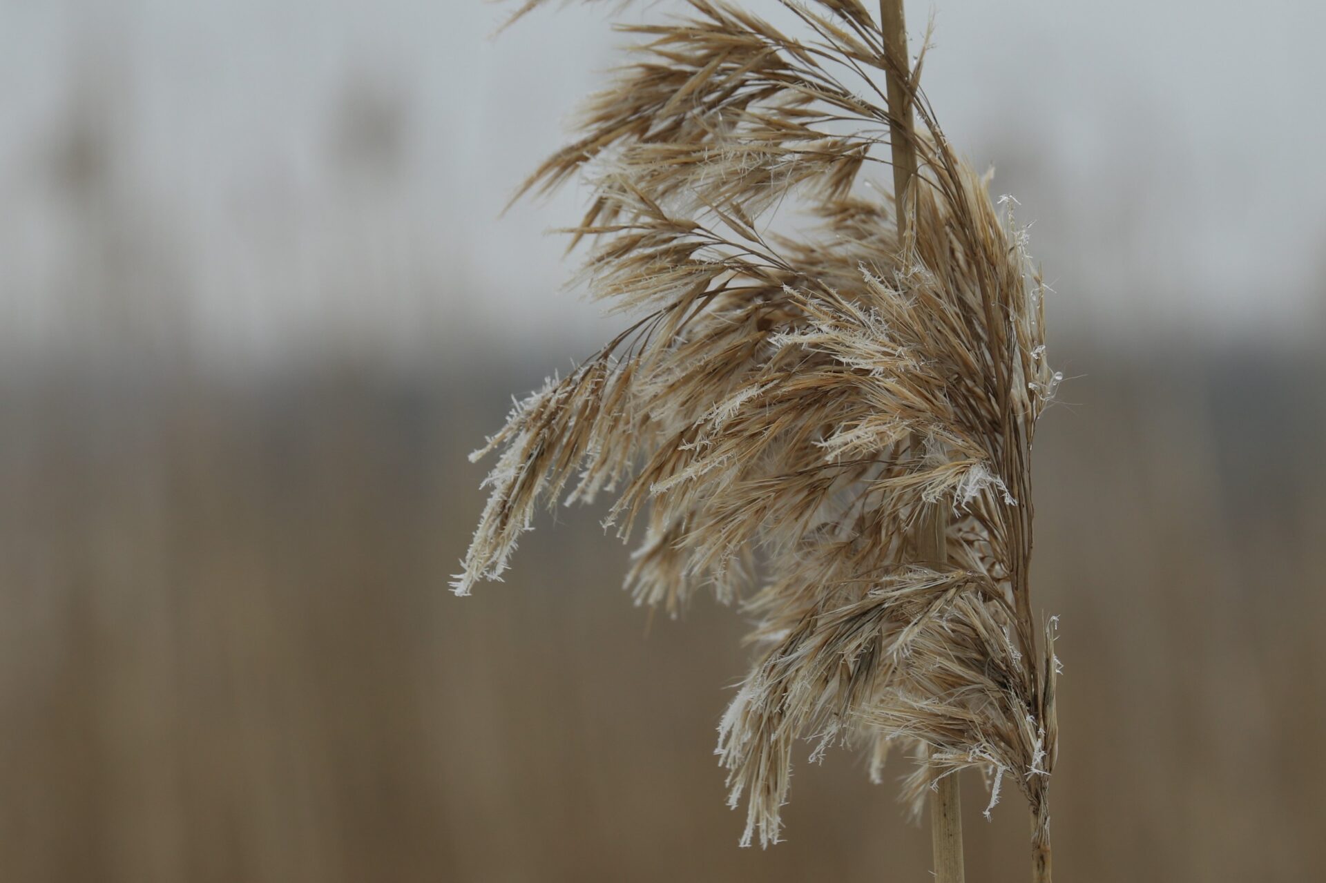 elisa-h-i_I4Fx3vWv8-unsplash