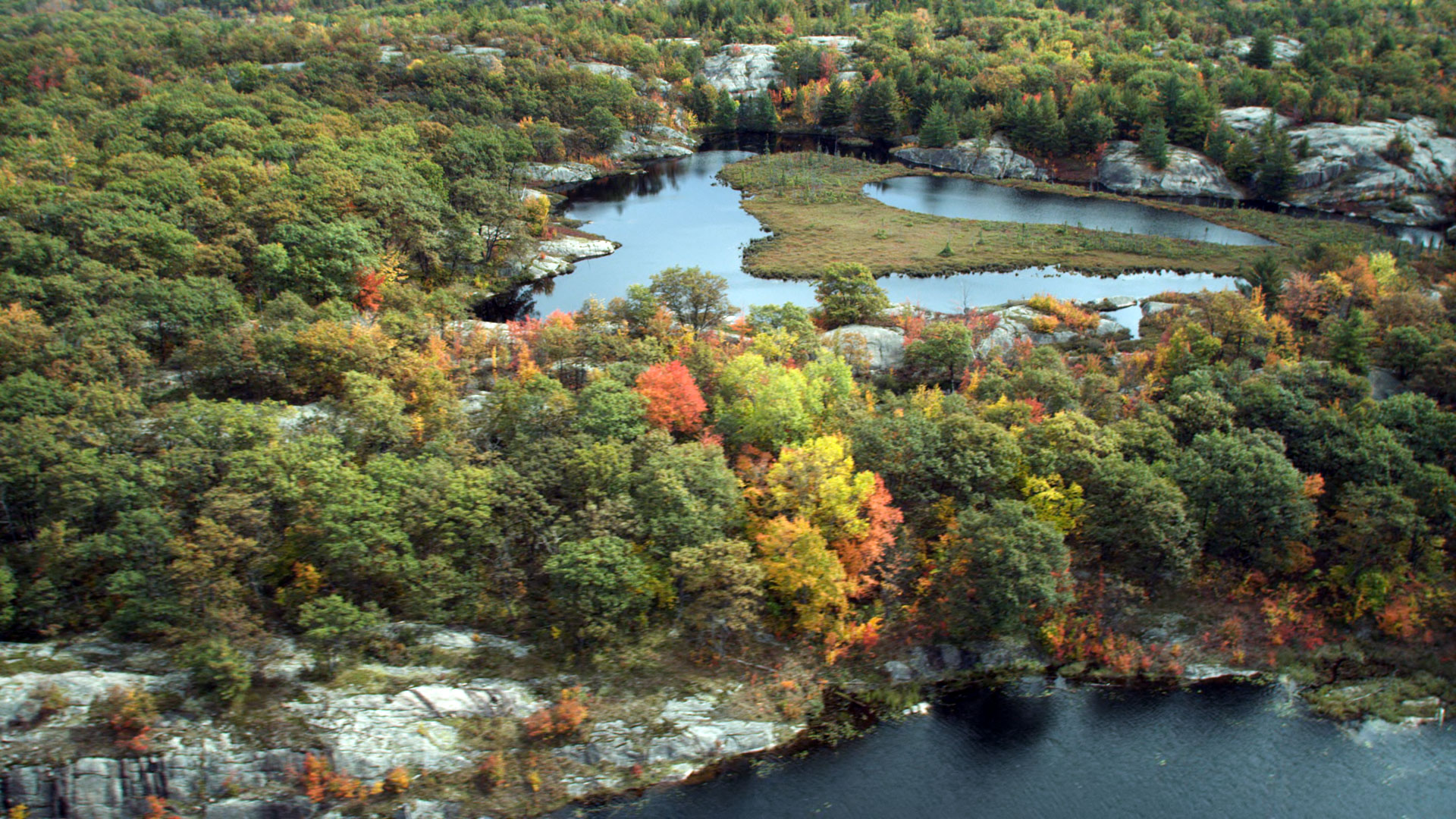 Kawartha