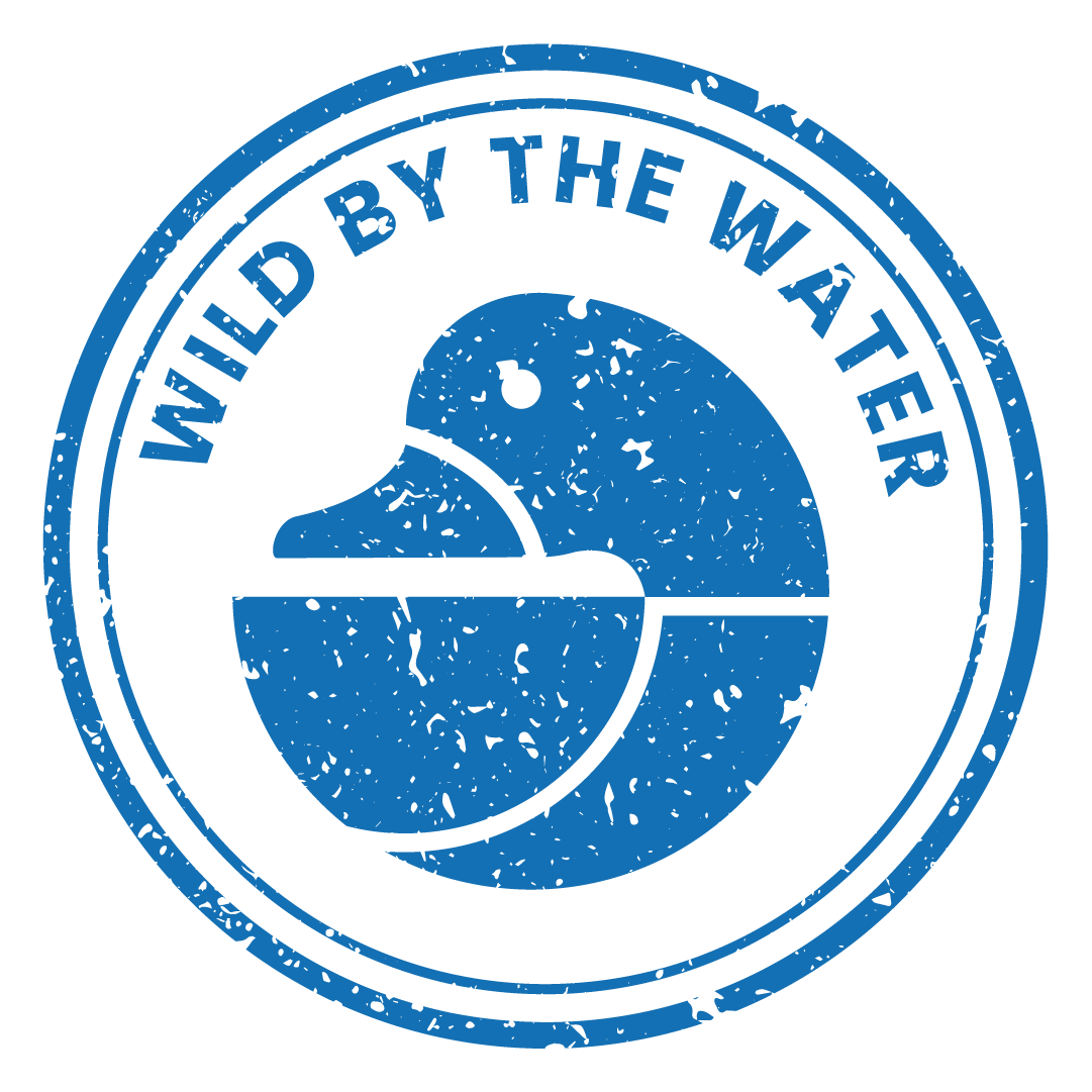 Blue Lakes_Wild by the Water_duck