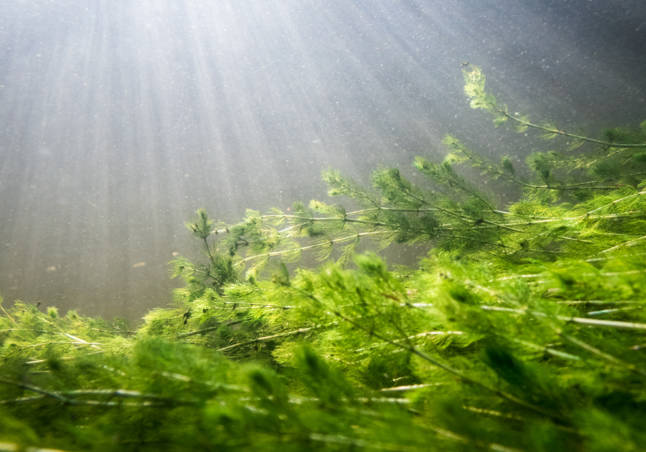 Untitled design (87)