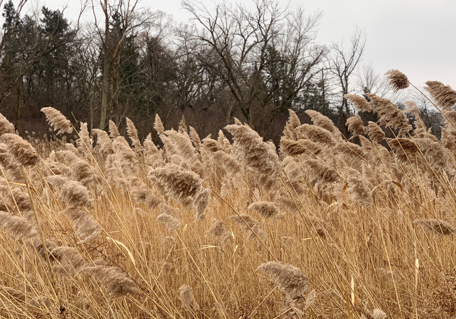 Untitled design (88)